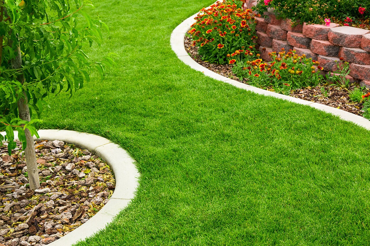 artificial turf phoenix